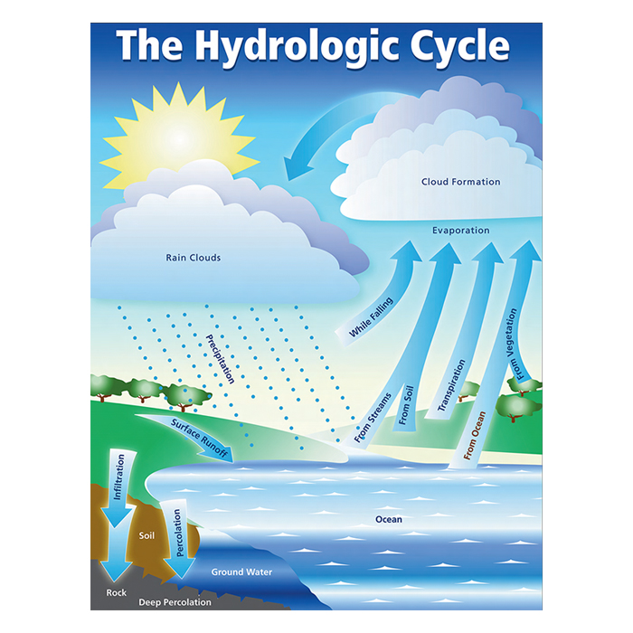 water cycle