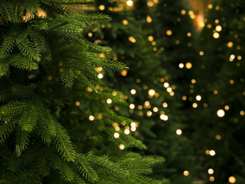 Close-up of green Christmas tree branches with blurred warm lights in the background, creating a festive and cozy atmosphere.