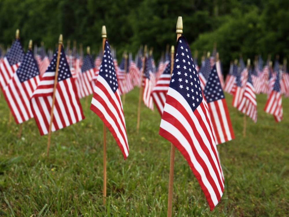 A field of American flags placed in the grass, with a green, blurred background, representing patriotism and remembrance.