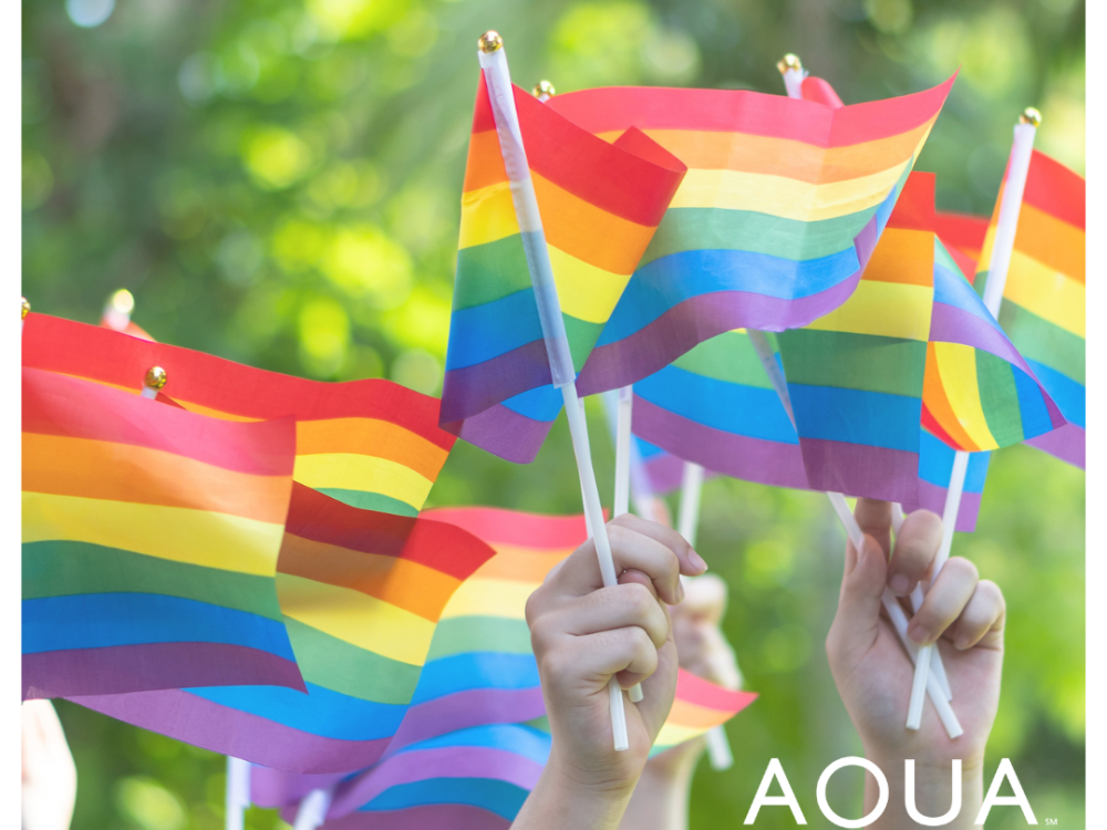 Image of Hands Holding Pride Flags