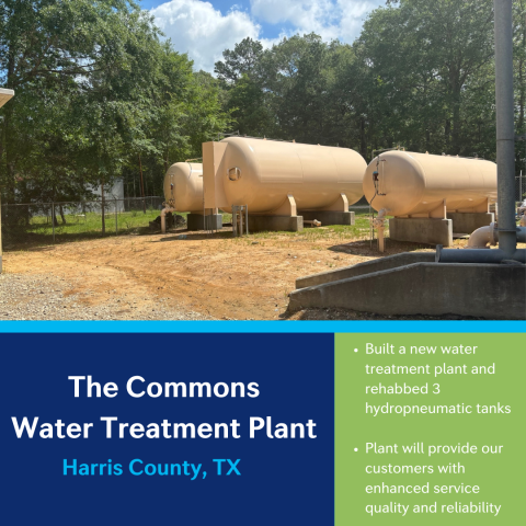 texas-the-commons-wtp